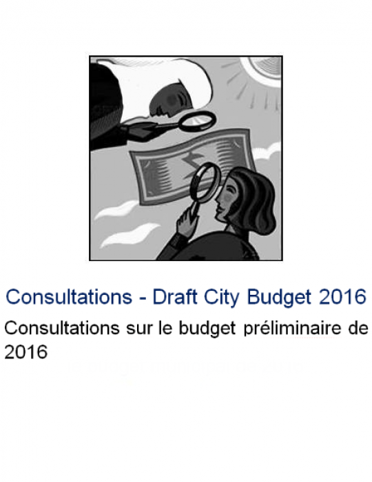 Consultations - Draft City Budget 2016