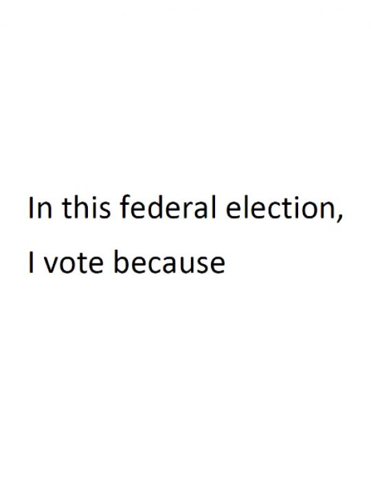 I vote because...